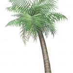 point L palmtree
